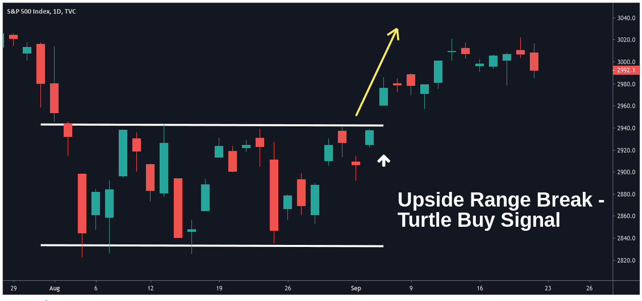 turtle buy signal graph