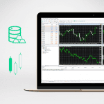 EightCap Erfahrungen