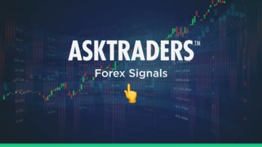 What are Forex Signals