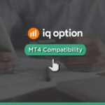 IQ Option MT4 Compatibility