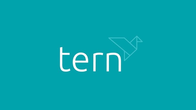 Tern logo