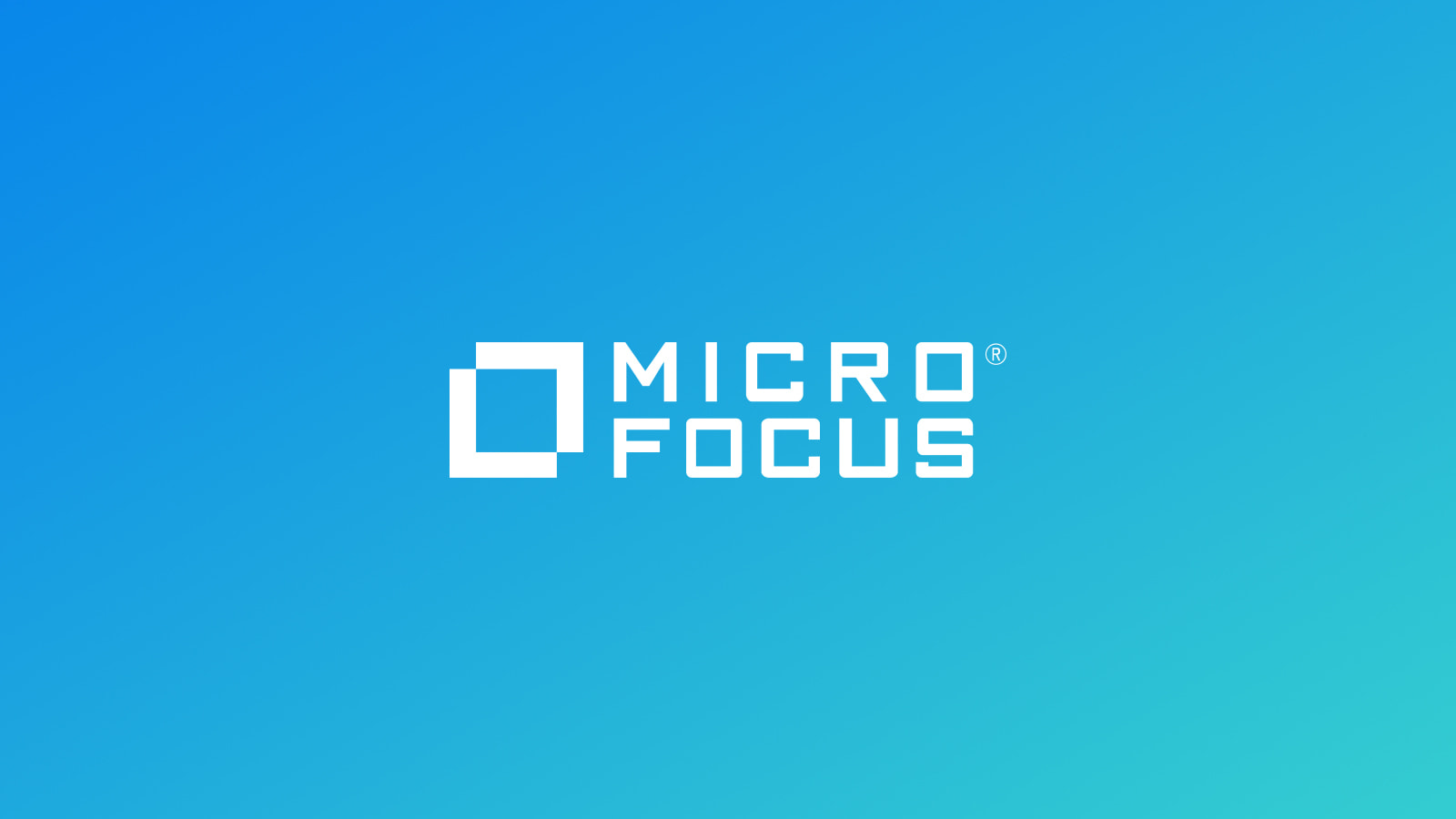 micro focus net express