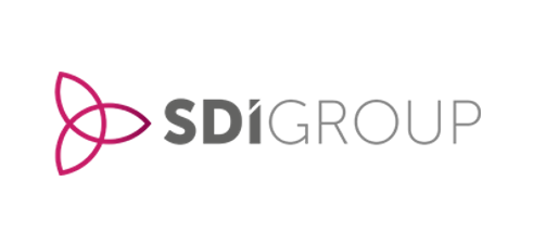 SDI Group (LON: SDI)