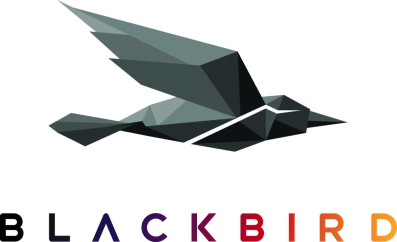 Blackbird plc LON: BIRD)