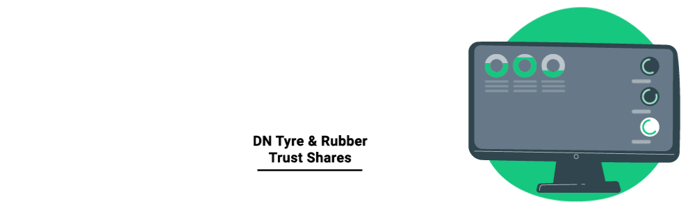 DN Tyre & Rubber Plc 