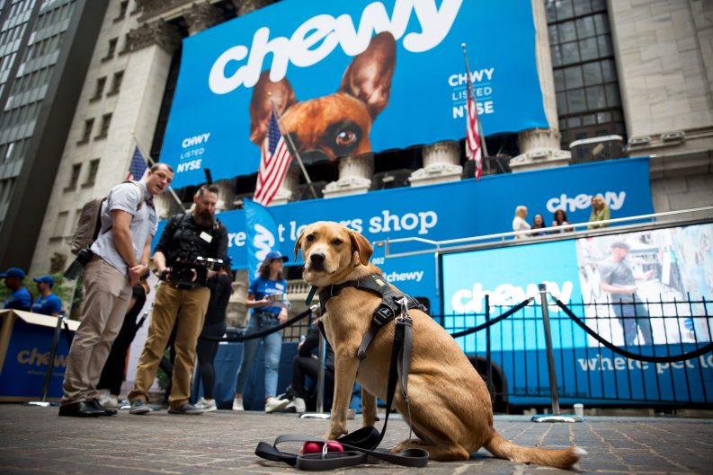 Chewy Earnings – Here’s What to Expect