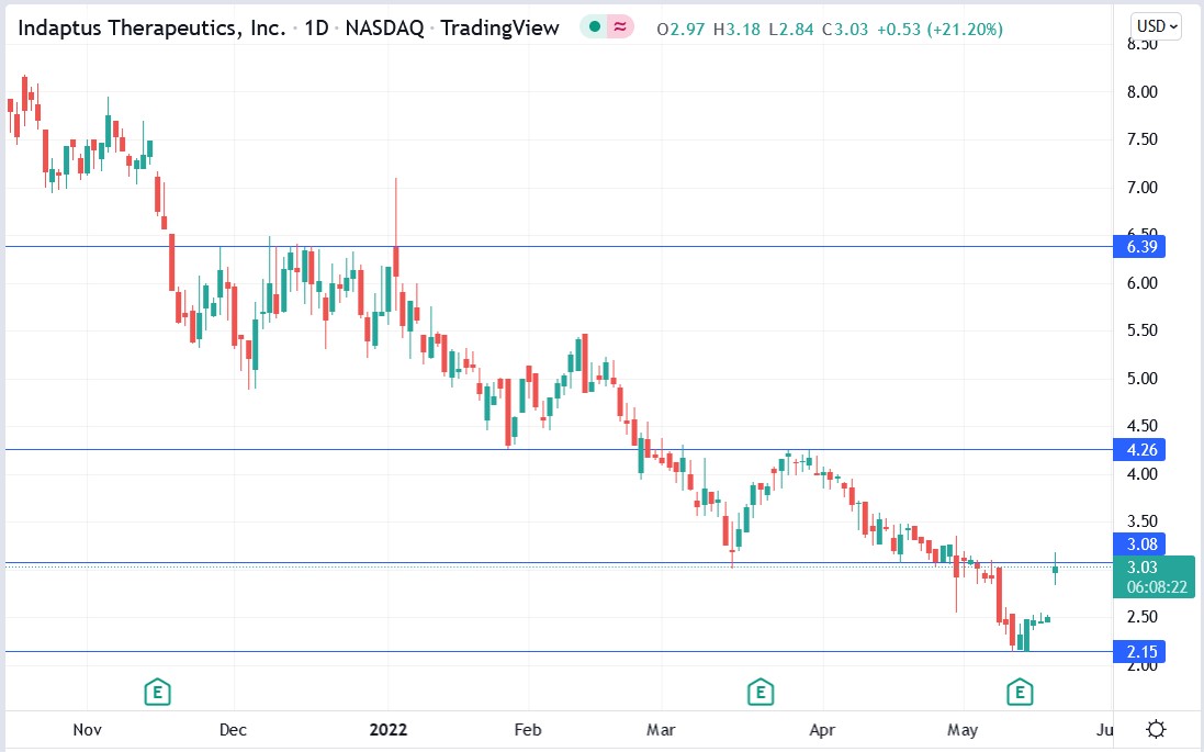 Indaptus Therapeutics stock price 19-05-2022