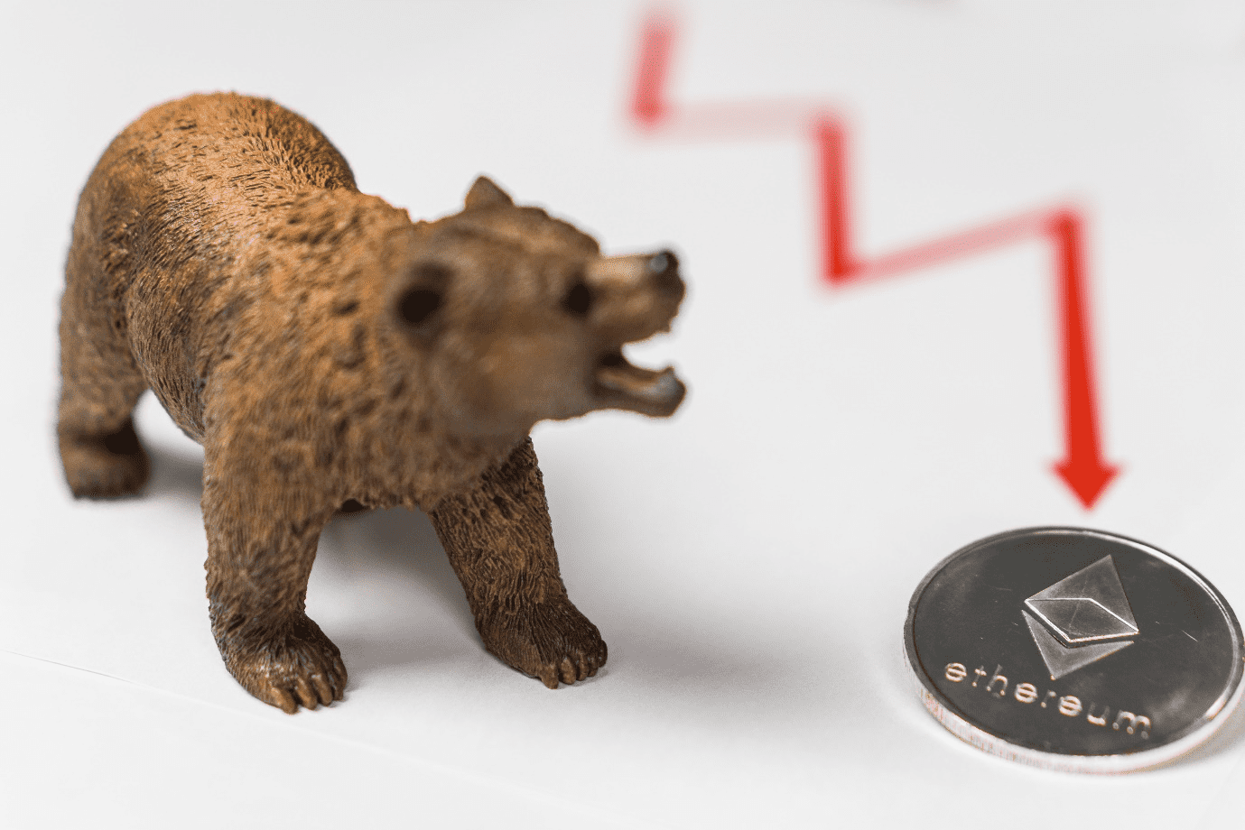 bear market crypto