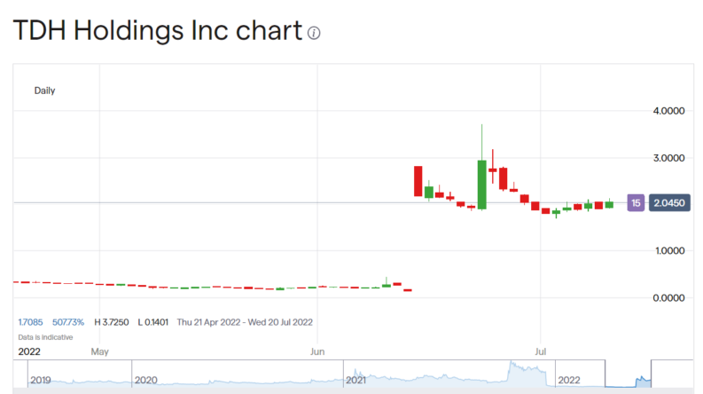 TDH Holdings share price