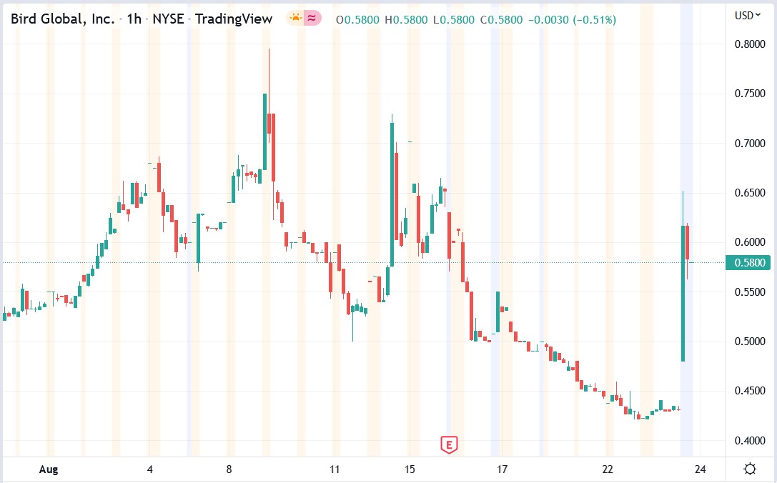 Bird Global stock price 24-08-2022