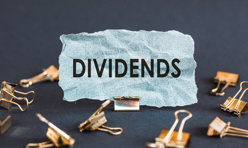 dividend shares south africa