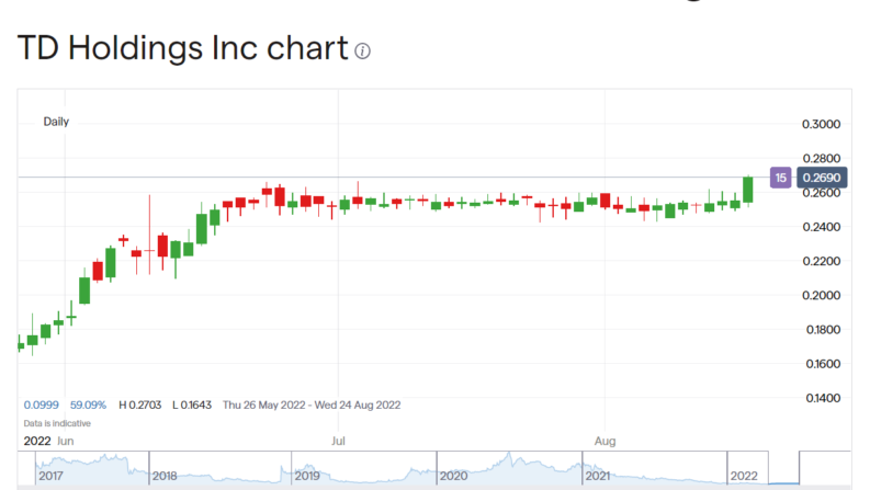 TD Holdings stock price