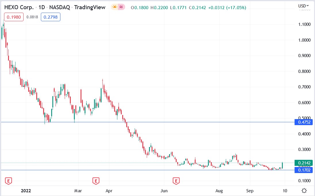 Hexo stock price 07-10-2022