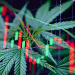 Hürden für Cannabis Aktien