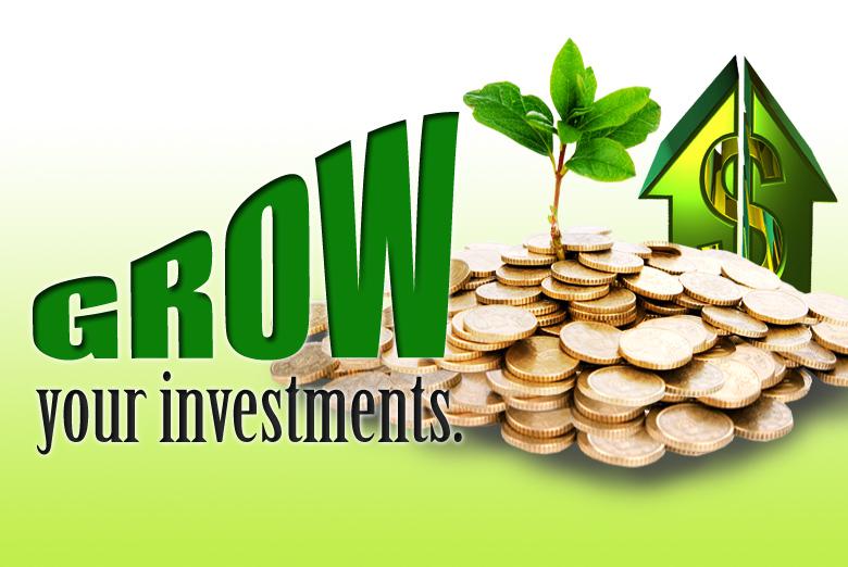 Investment growth concept with coins and growing plant