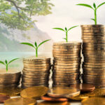 Coins with growing plants representing investment growth