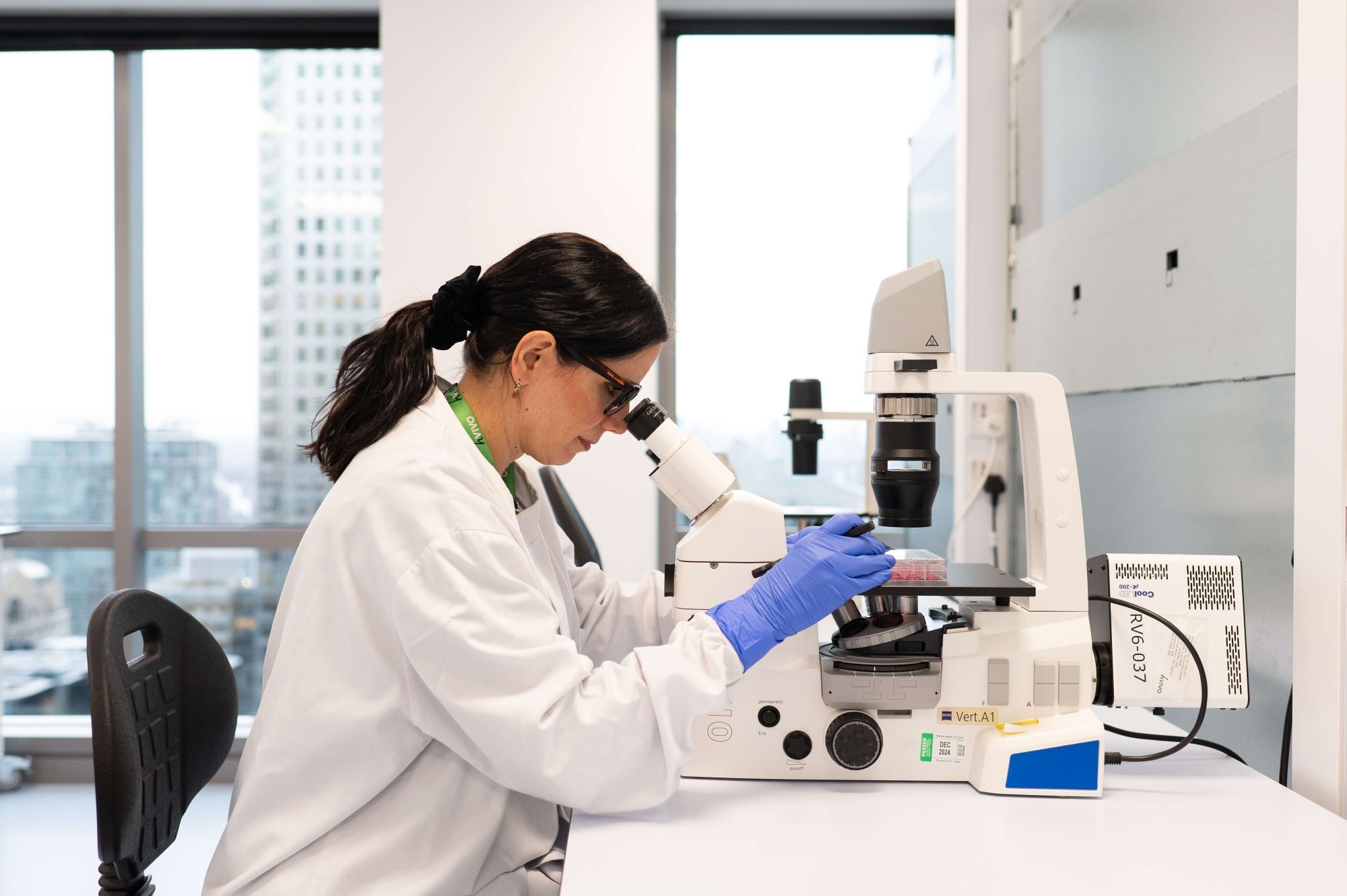 Revenue Drops and CFO Retirement Prompt Fall in hVIVO Shares