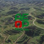 AEP Plantations logo over an aerial view of terraced plantation hillsides with winding access roads