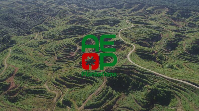 AEP Plantations logo over an aerial view of terraced plantation hillsides with winding access roads