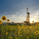 Onshore drilling rig at sunset behind a field of yellow sunflowers
