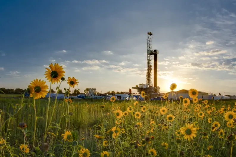 Onshore drilling rig at sunset behind a field of yellow sunflowers