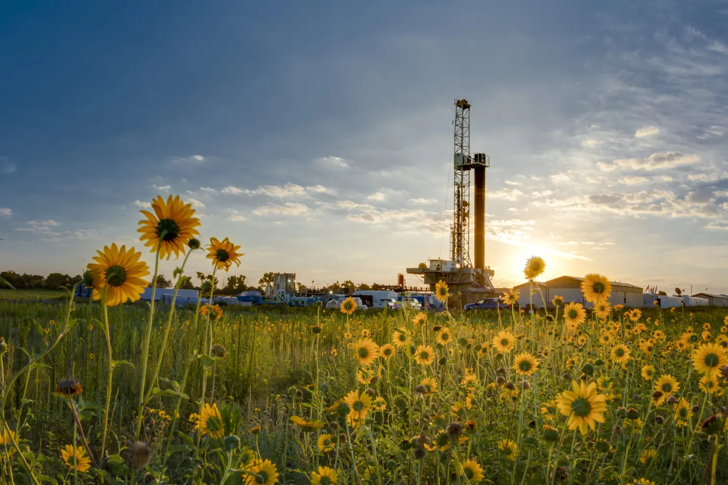 Onshore drilling rig at sunset behind a field of yellow sunflowers